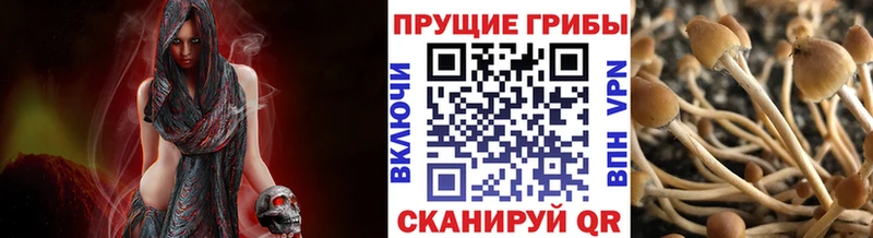 купить  цена  mega ссылка  Галлюциногенные грибы Psilocybe  Сосногорск 